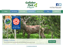 Tablet Screenshot of gallaberpark.com
